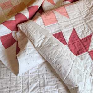 How to finish a quilt by Sew Nikki - finishing the Sisters Choice quilt.